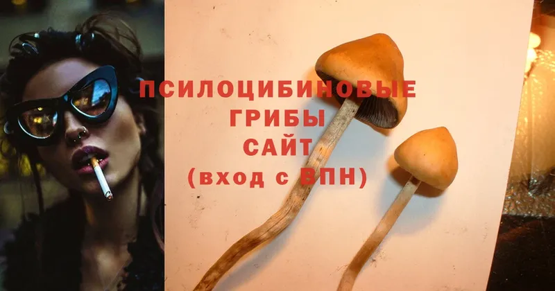 kraken ссылки  Вуктыл  Галлюциногенные грибы MAGIC MUSHROOMS 